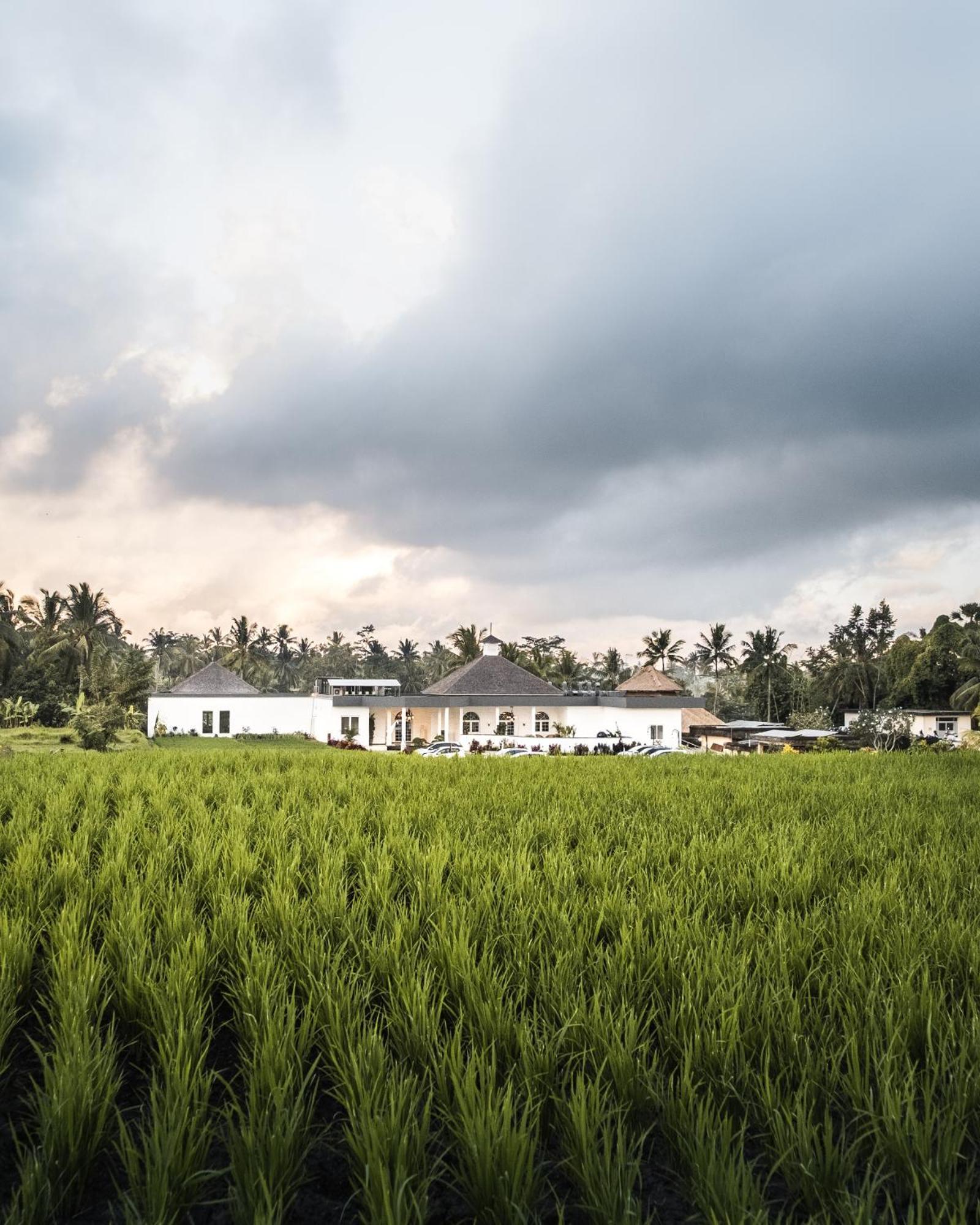 Cascades Suites Ubud Exterior foto